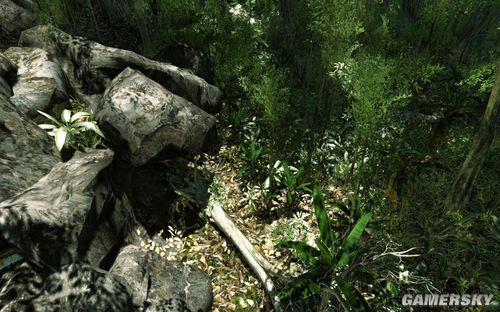 �����ǿ�